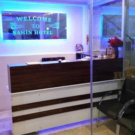 沙辛酒店 3*