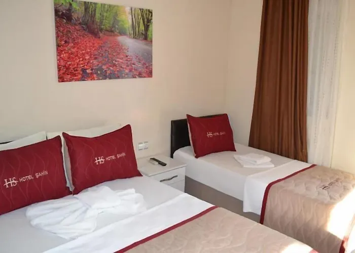 Sahin Hotel 3*